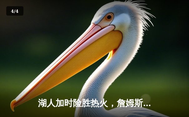 湖人加时险胜热火，詹姆斯关键三分锁定胜局 - 4